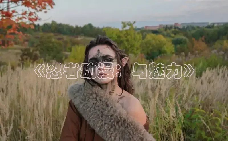 《忍者动漫：与魅力》